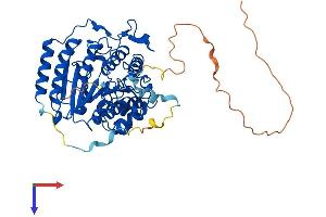 AlphaFold protein structure predicition of Mouse Recombinant Hdac1 Protein, UniprotID O09106