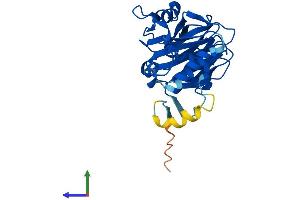 AlphaFold protein structure predicition of Human Recombinant SPSB1 Protein, UniprotID Q96BD6