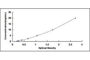 Typical standard curve (GAL4 Kit ELISA)