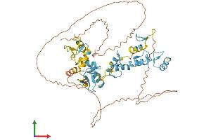 AlphaFold protein structure predicition of Human Recombinant ZNF639 Protein, UniprotID Q9UID6