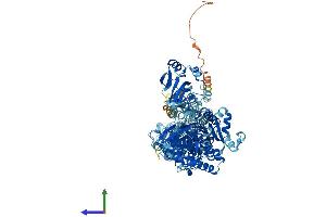 AlphaFold protein structure predicition of Mouse Recombinant Atp1a4 Protein, UniprotID Q9WV27