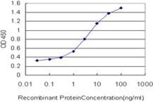 Detection limit for recombinant GST tagged YAP1 is approximately 0. (YAP1 anticorps  (AA 53-161))