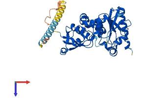 AlphaFold protein structure predicition of Mouse Recombinant Fut2 Protein, UniprotID Q9JL27