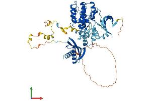 AlphaFold protein structure predicition of Human Recombinant PRKAA2 Protein, UniprotID P54646