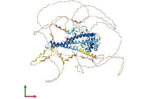 AlphaFold protein structure predicition of Human Recombinant MICALL1 Protein, UniprotID Q8N3F8