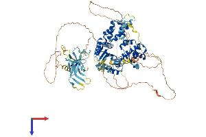 AlphaFold protein structure predicition of Mouse Recombinant Orc1 Protein, UniprotID Q9Z1N2