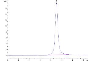 The purity of Rhesus macaque DLL3 is greater than 95 % as determined by SEC-HPLC.