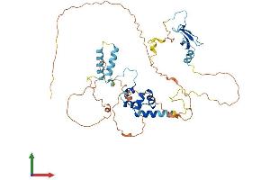 AlphaFold protein structure predicition of Human Recombinant FBXO5 Protein, UniprotID Q9UKT4