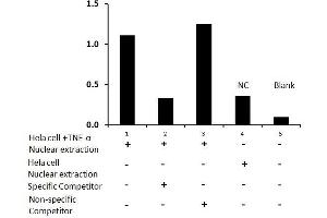 Transcription factor activity assay of NF-κB p50 from nuclear extracts of HeLa cells or HeLa cells treated with TNF-α with the specific competitor or non-specific competitor.