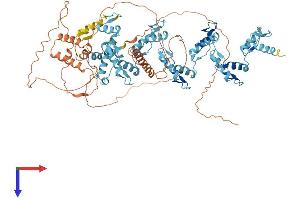 AlphaFold protein structure predicition of Human Recombinant ZNF606 Protein, UniprotID Q8WXB4