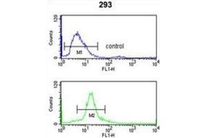 Flow Cytometry (FACS) image for anti-Sjogren Syndrome Antigen B (SSB) antibody (ABIN3001636)