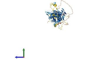AlphaFold protein structure predicition of Mouse Recombinant Med17 Protein, UniprotID Q8VCD5