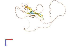 AlphaFold protein structure predicition of Human Recombinant PROCA1 Protein, UniprotID Q8NCQ7