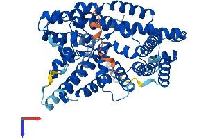 AlphaFold protein structure predicition of Mouse Recombinant Mboat7 Protein, UniprotID Q8CHK3