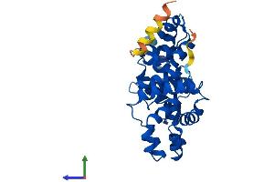 AlphaFold protein structure predicition of Human Recombinant TBC1D7 Protein, UniprotID Q9P0N9