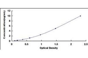 Typical standard curve (ERCC5 Kit ELISA)