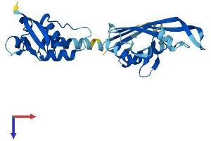 AlphaFold protein structure predicition of Mouse Recombinant Kctd21 Protein, UniprotID Q3URF8