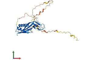 AlphaFold protein structure predicition of Mouse Recombinant Rtp4 Protein, UniprotID Q9ER80