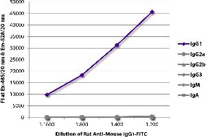 FLISA plate was coated with purified mouse IgG1, IgG2a, IgG2b, IgG3, IgM, and IgA. (Rat anti-Souris IgG1 Anticorps (FITC))