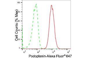 Flow cytometric analysis of Podoplanin expression in HAP-1 cells using Podoplanin antibody (ABIN7799861), 1:2,000). (Recombinant Podoplanin anticorps)