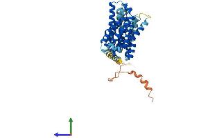 AlphaFold protein structure predicition of Human Recombinant SLC35F2 Protein, UniprotID Q8IXU6