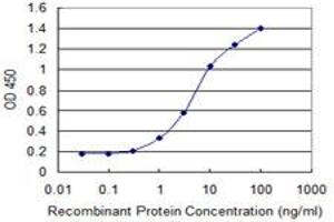 Detection limit for recombinant GST tagged IFITM2 is 0. (IFITM2 anticorps  (AA 1-59))