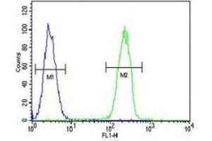 Caspase-5 antibody flow cytometric analysis of MDA-MB231 cells (right histogram) compared to a negative control cell (left histogram).