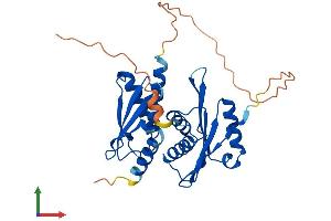 AlphaFold protein structure predicition of Human Recombinant IMPACT Protein, UniprotID Q9P2X3