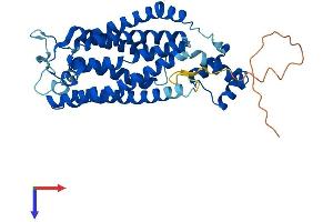 AlphaFold protein structure predicition of Human Recombinant CERS2 Protein, UniprotID Q96G23