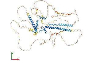 AlphaFold protein structure predicition of Mouse Recombinant Gatad2a Protein, UniprotID Q8CHY6