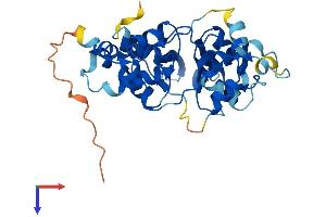 AlphaFold protein structure predicition of Mouse Recombinant Prkag1 Protein, UniprotID O54950