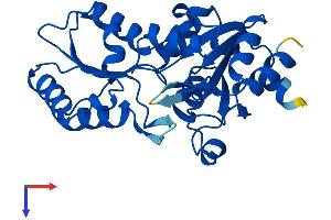 AlphaFold protein structure predicition of Mouse Recombinant Lhpp Protein, UniprotID Q9D7I5