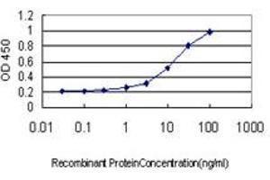 Detection limit for recombinant GST tagged GREM1 is approximately 0. (GREM1 anticorps  (AA 75-184))