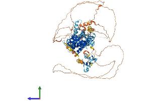 AlphaFold protein structure predicition of Human Recombinant ZFYVE28 Protein, UniprotID Q9HCC9