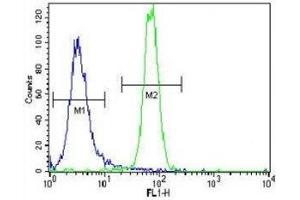 Parkin antibody flow cytometric analysis of NCI-H460 cells (right histogram) compared to a negative control (left histogram).