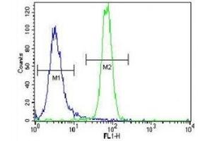 Parkin antibody flow cytometric analysis of NCI-H460 cells (right histogram) compared to a negative control (left histogram). (Parkin anticorps  (AA 111-140))