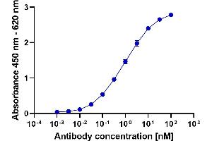 anti-HA-Tag (AA 98-106) antibody