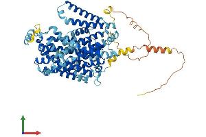 AlphaFold protein structure predicition of Human Recombinant SLC7A2 Protein, UniprotID P52569