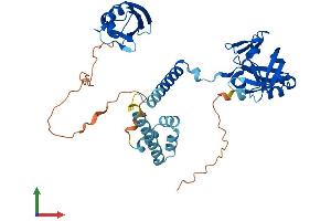AlphaFold protein structure predicition of Human Recombinant DDI1 Protein, UniprotID Q8WTU0
