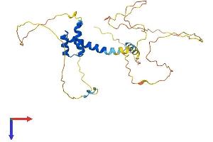AlphaFold protein structure predicition of Human Recombinant PITX1 Protein, UniprotID P78337