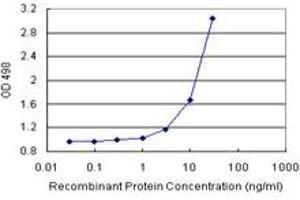 Sandwich ELISA detection sensitivity ranging from 0.