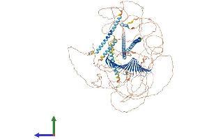 AlphaFold protein structure predicition of Mouse Recombinant Cenpj Protein, UniprotID Q569L8