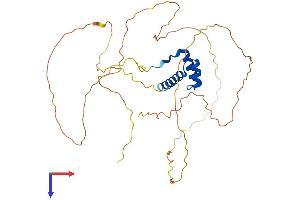AlphaFold protein structure predicition of Human Recombinant OTX1 Protein, UniprotID P32242