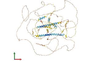 AlphaFold protein structure predicition of Human Recombinant DACT1 Protein, UniprotID Q9NYF0