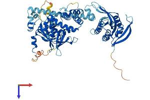 AlphaFold protein structure predicition of Mouse Recombinant Gucy1b1 Protein, UniprotID O54865