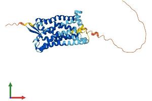 AlphaFold protein structure predicition of Human Recombinant LTB4R Protein, UniprotID Q15722