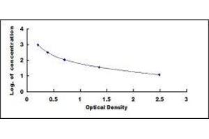 Orexin A (OXA) ELISA Kit