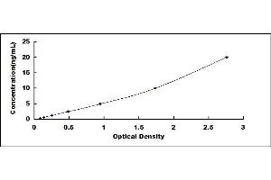 Typical standard curve (FOXO1 Kit ELISA)