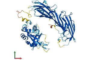 AlphaFold protein structure predicition of Human Recombinant AP5M1 Protein, UniprotID Q9H0R1