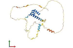 AlphaFold protein structure predicition of Human Recombinant PITX3 Protein, UniprotID O75364